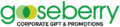 logo 1.1